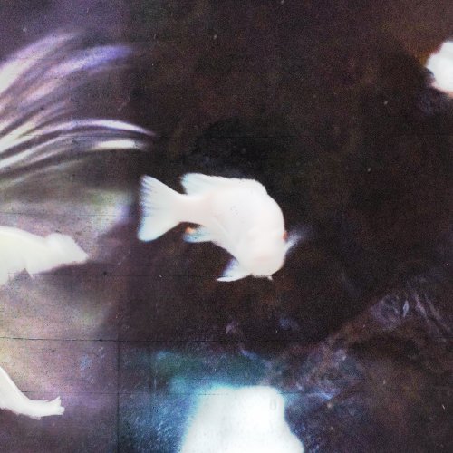 2단지 - EP앨범 [젖은 소매]