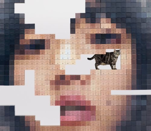 Aimyon [あいみょん] (아이묭) - Jealous of Cats [猫にジェラシ-] [CD (일본 수입반) + 2 Blu-ray (초회한정반)]